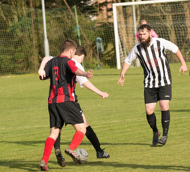 拉莫斯等竞 拉莫斯等竞