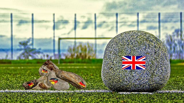 主帅并不能 主帅并不能