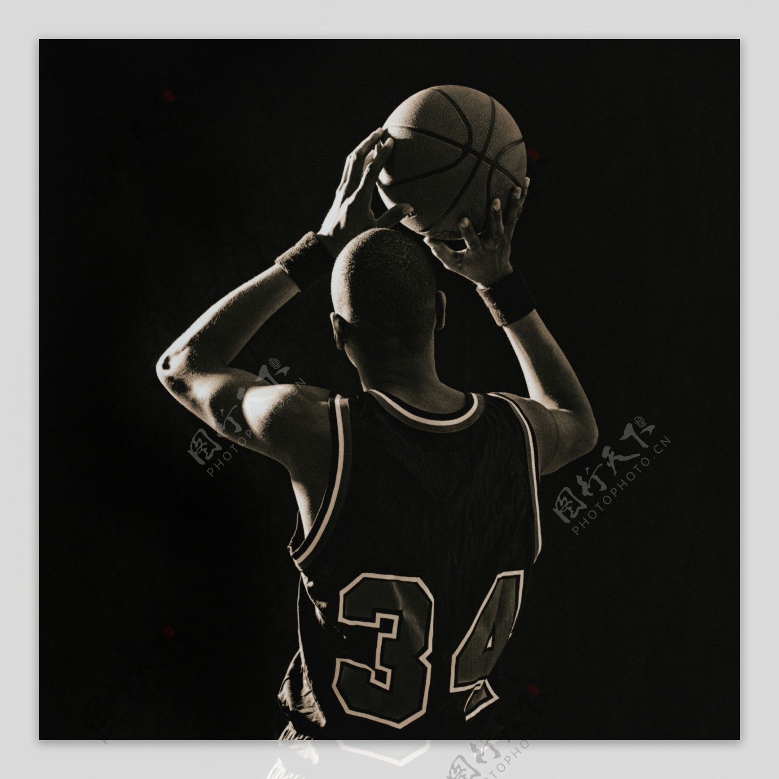 维特塞尔的 维特塞尔的