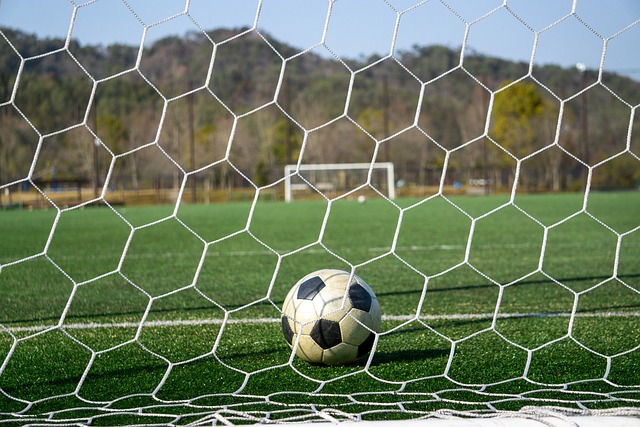 的顺利进行 的顺利进行