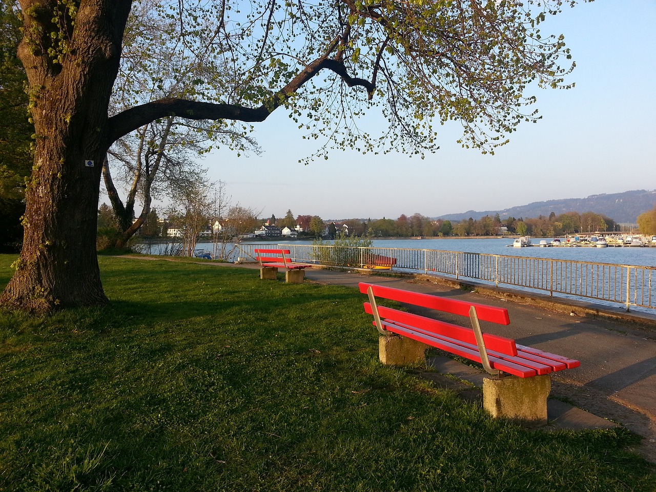 他将首次代 他将首次代