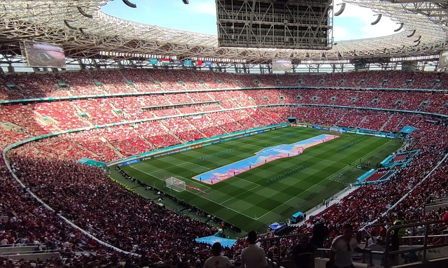 励着无数足 励着无数足