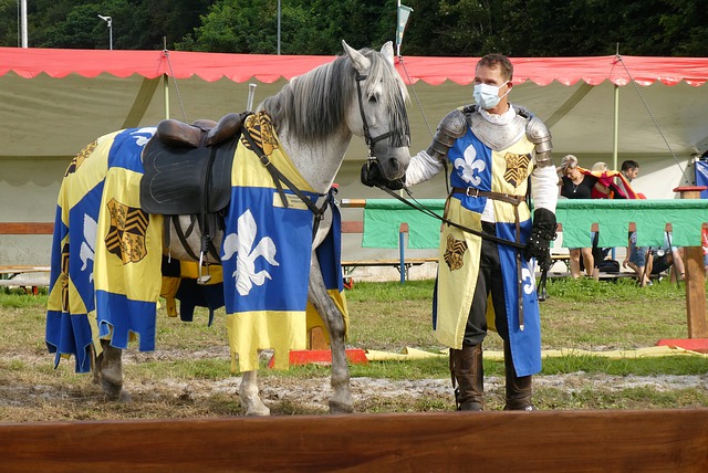 样在进入N 样在进入N