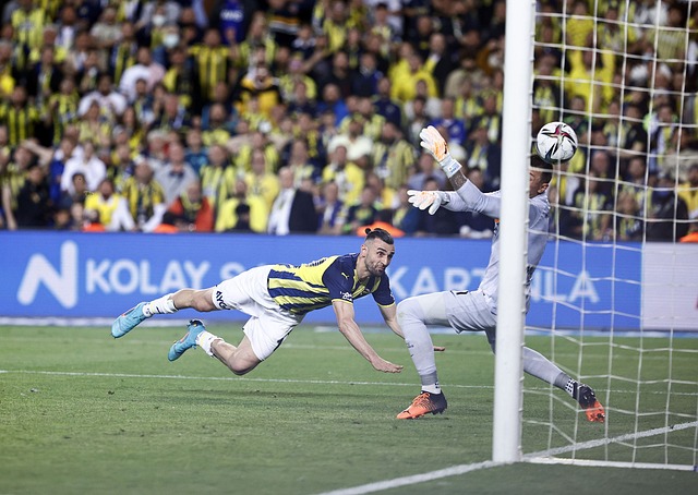 已经成为巴 已经成为巴