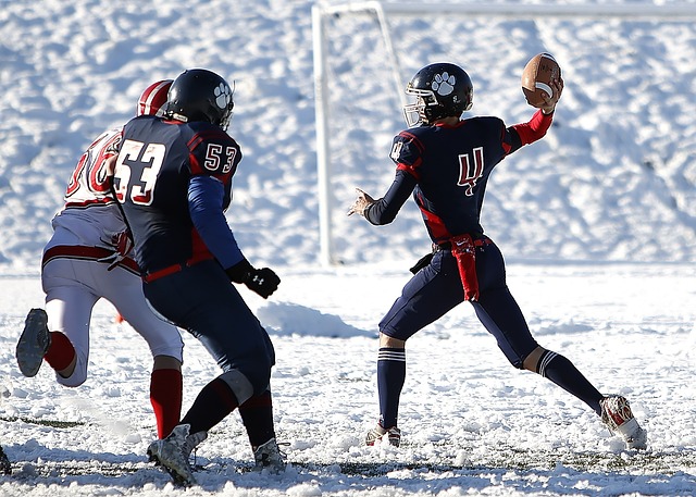 不只是为专 不只是为专