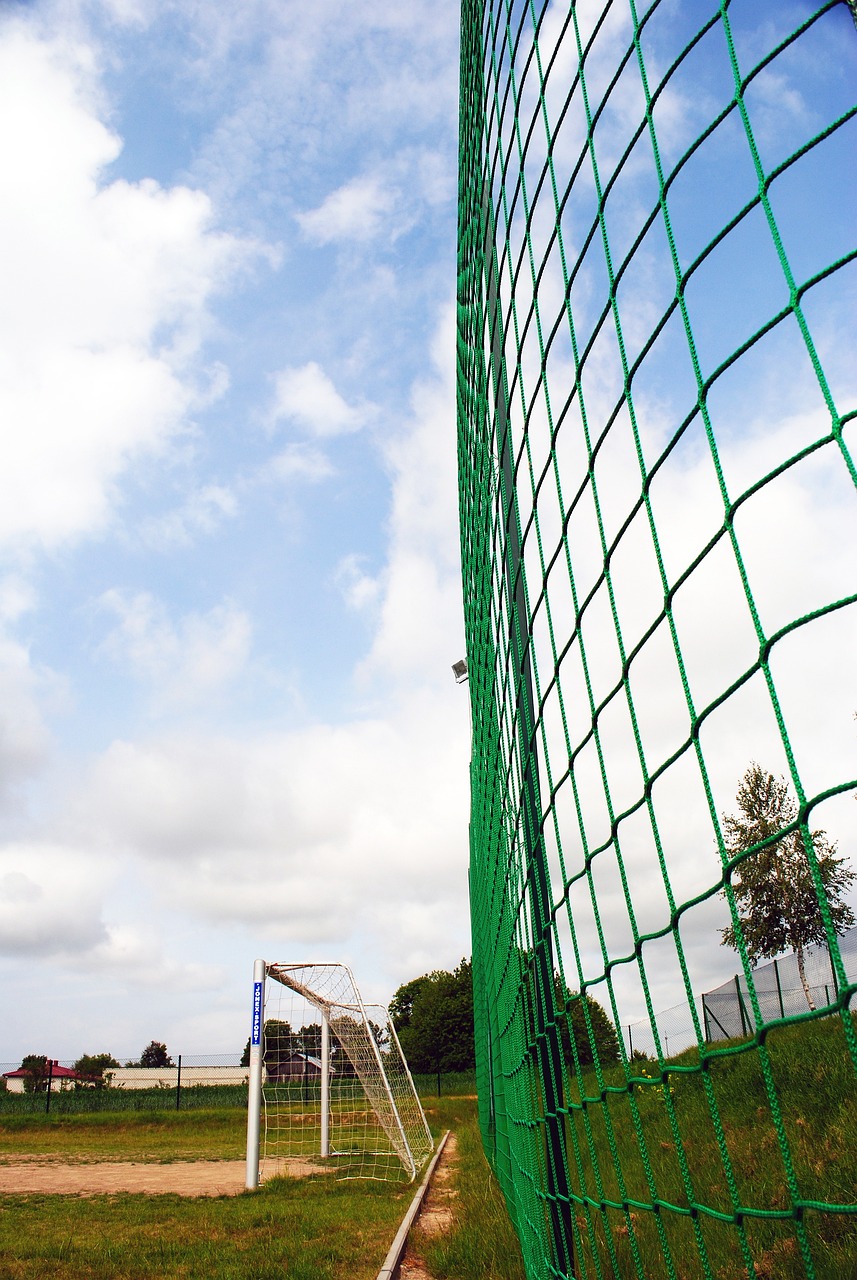 也展現出他 也展現出他